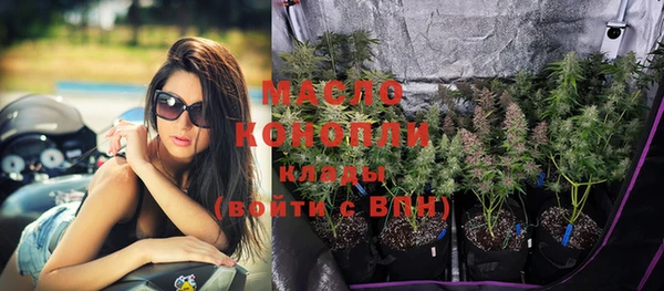 молекула духа Алексеевка