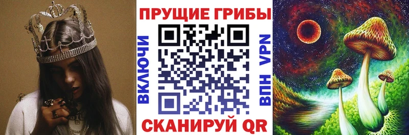Галлюциногенные грибы GOLDEN TEACHER  Дегтярск 